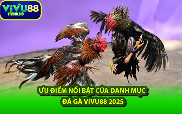 Ưu Điểm Nổi Bật Của Danh Mục Đá Gà VIVU88 2025
